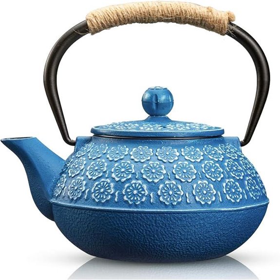 Sotya Cast Iron Teapot with Infuser 30oz