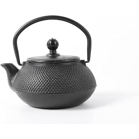HAWOK Cast Iron Teapot with Stainless Steel Infuser (600ml/20oz)