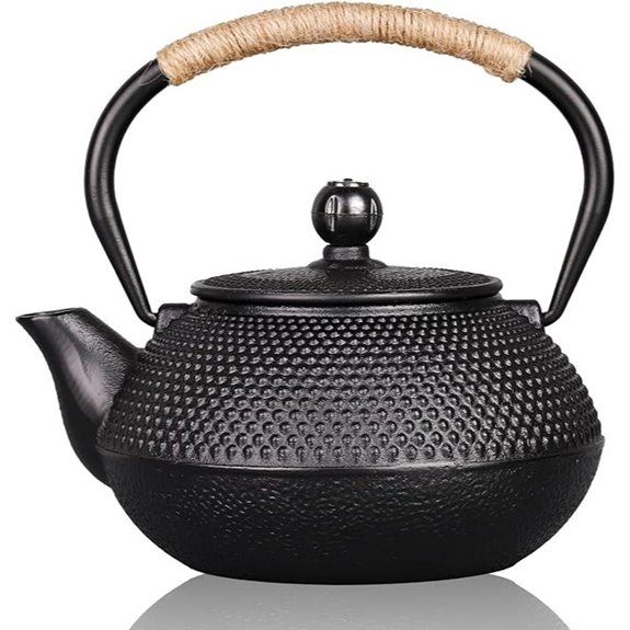 PARACITY Cast Iron Teapot with Stainless Infuser 23.5 oz