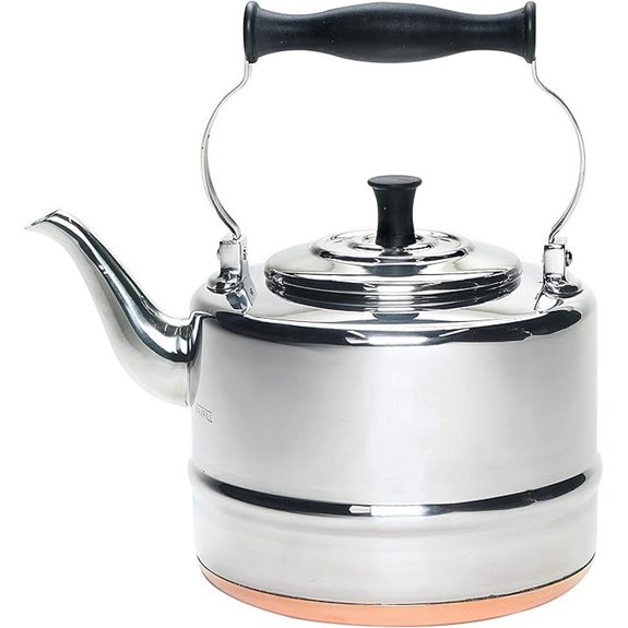BonJour Gooseneck Teapot 2-Quart