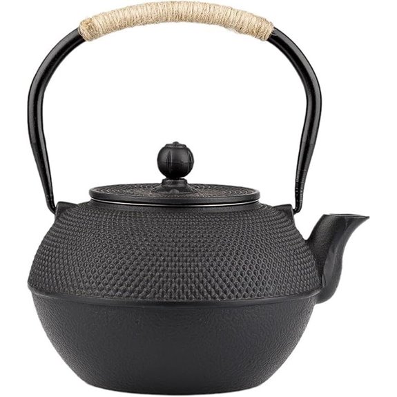 Cast Iron Teapot with Infuser 40oz Enamel Interior
