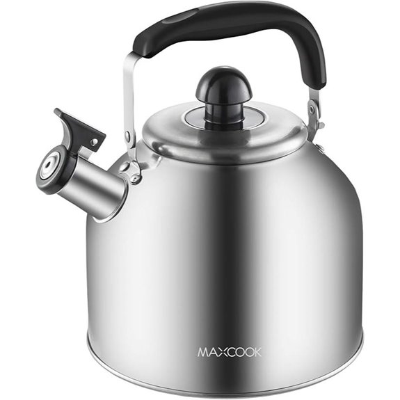 Stainless Steel Whistling Tea Kettle for Induction