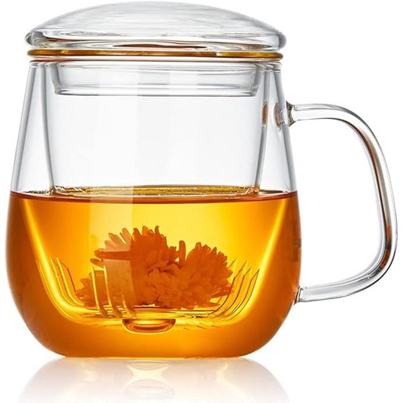 Glass Tea Cup with Infuser & Lid 520ml
