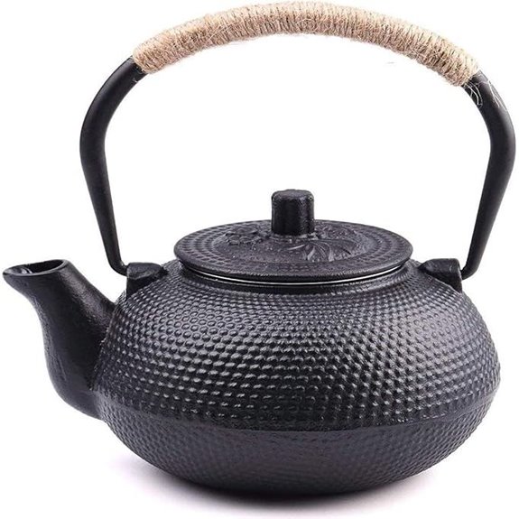 Suyika Japanese Cast Iron Teapot with Infuser