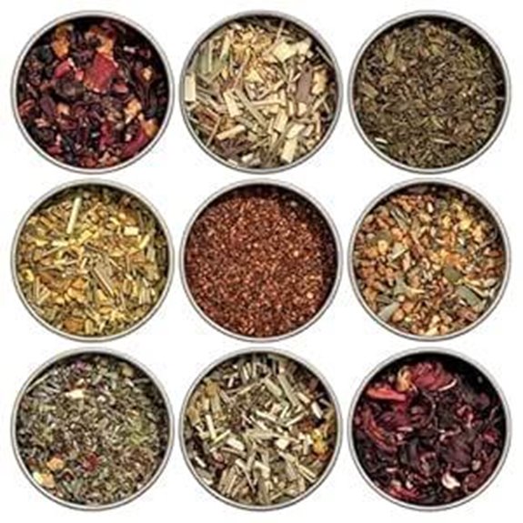 Heavenly Tea Leaves Organic Herbal Tea Sampler (9-Pack)