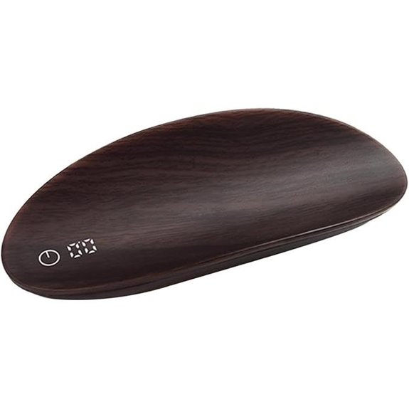 AFXGUSD Mini Digital Portable Scale 500g x 0.1g