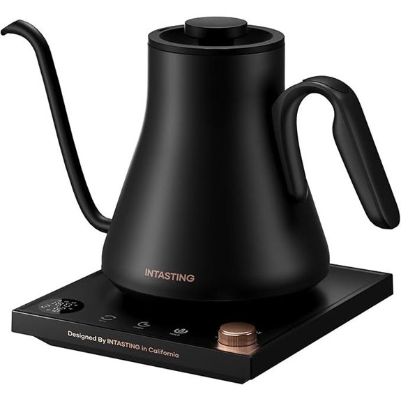 Gooseneck Electric Kettle 0.9L Precise Temp Black