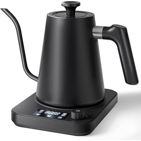 Gooseneck Electric Kettle with Precision Control