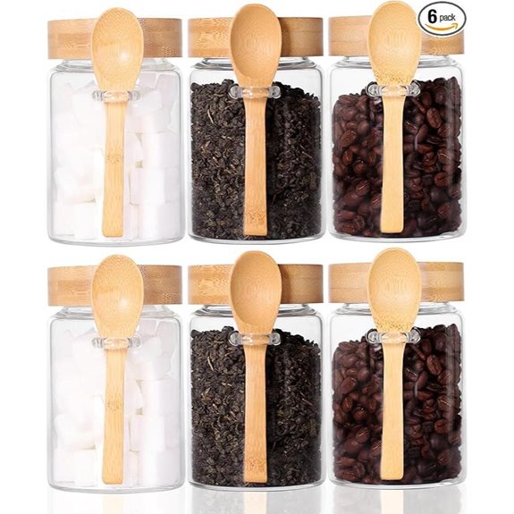 Glass Jar with Screw Lid 6 Pack 16 OZ Tea Containers