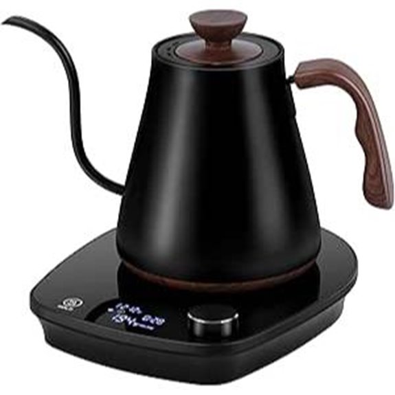 Gooseneck Electric Kettle with Temp Control